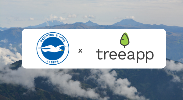 Brighton & Hove Albion fans choose trees!