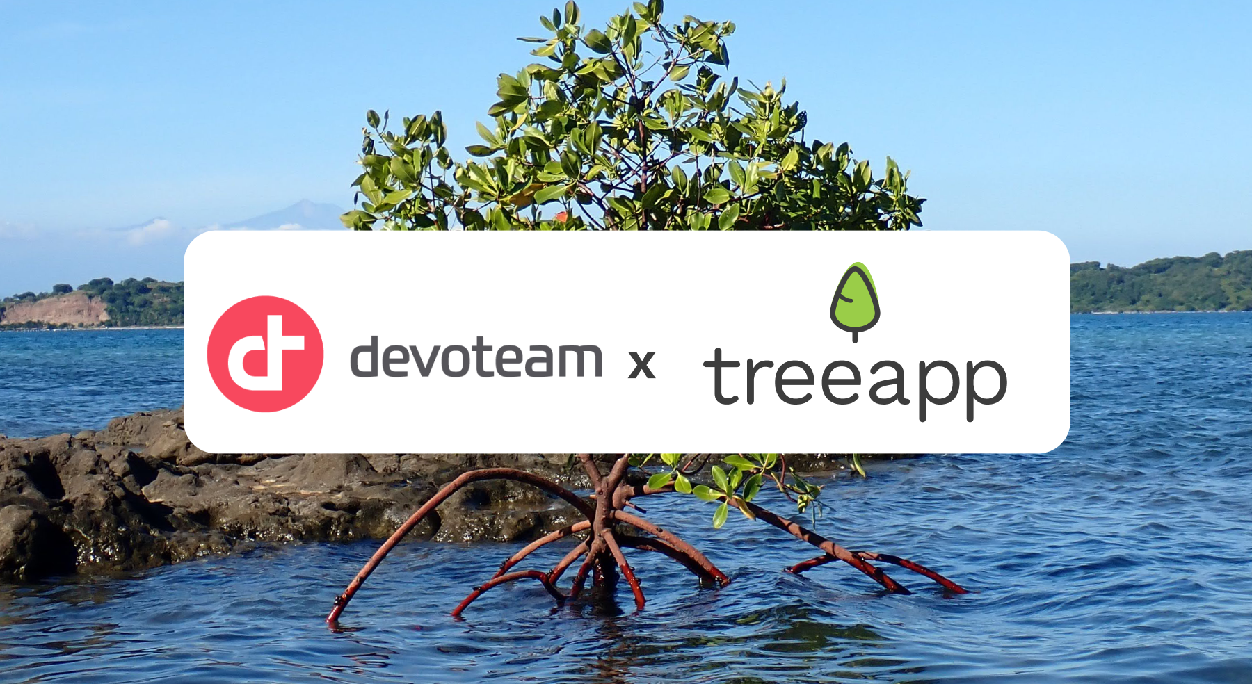 How Devoteam turned sustainability into a core business practice