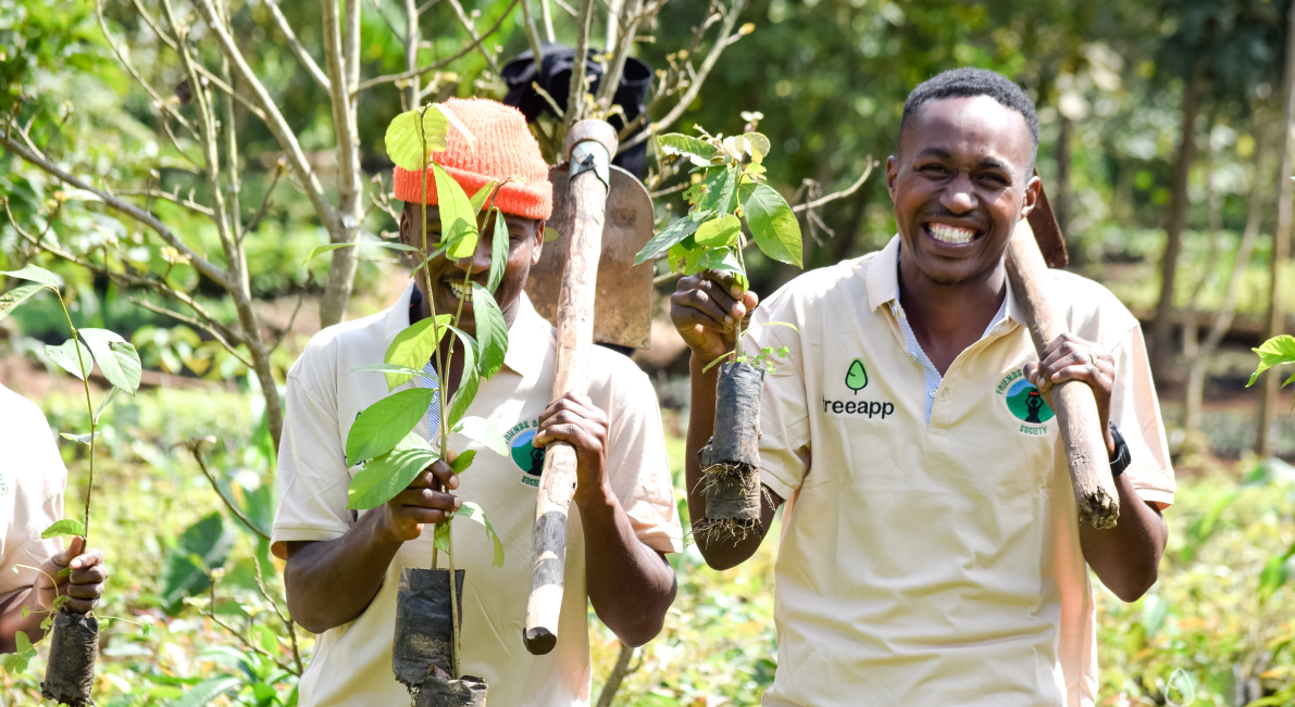 tree-planting-business