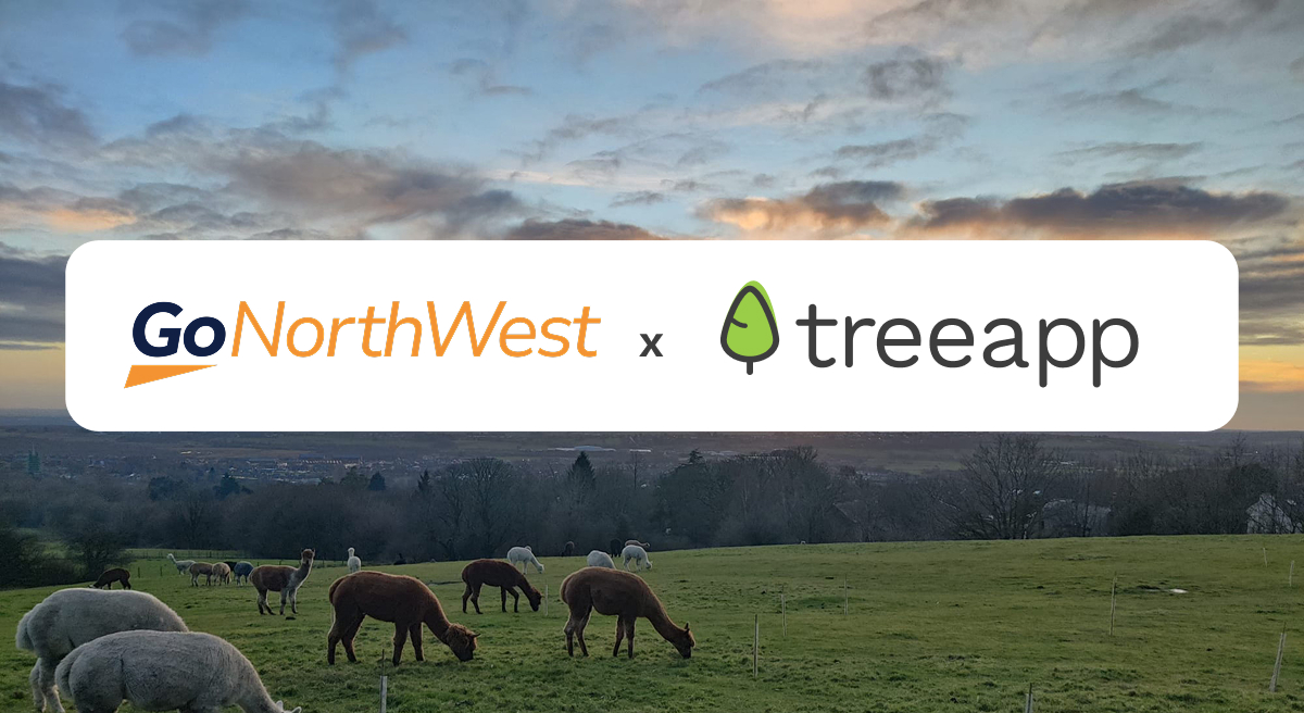How Go North West turned tree planting into real social value