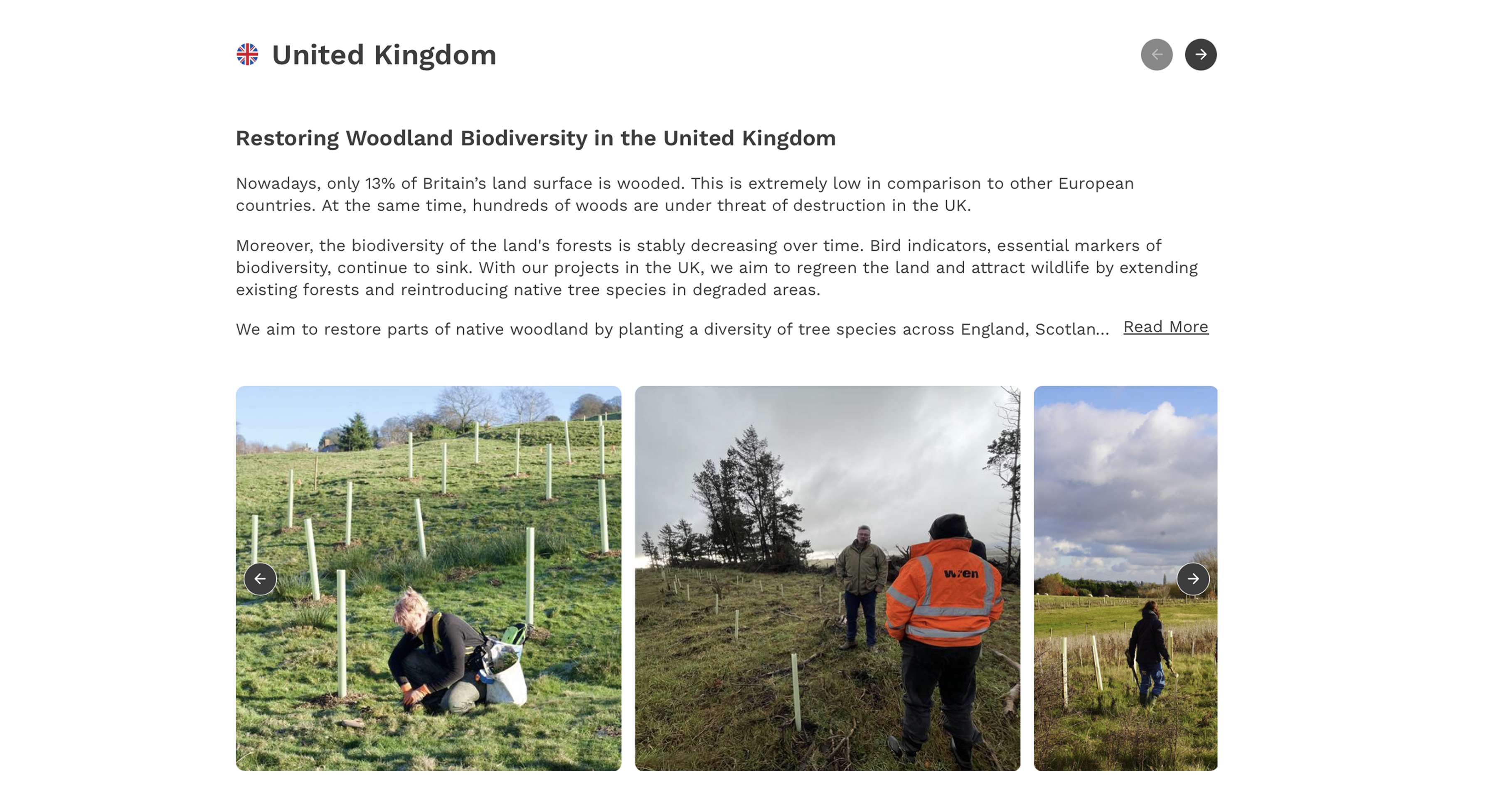 Treeapp-tree-planting-in-the-UK