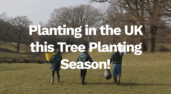 Planting in the UK this Tree Planting Season!