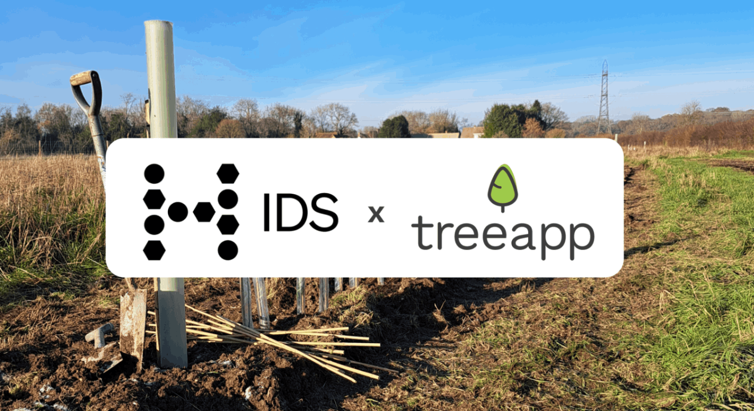 IDS Group x Treeapp: A Tailored Approach to Reforestation