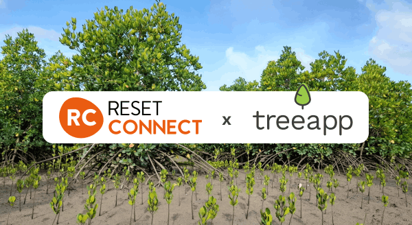Reset Connect’s path to a greener events industry