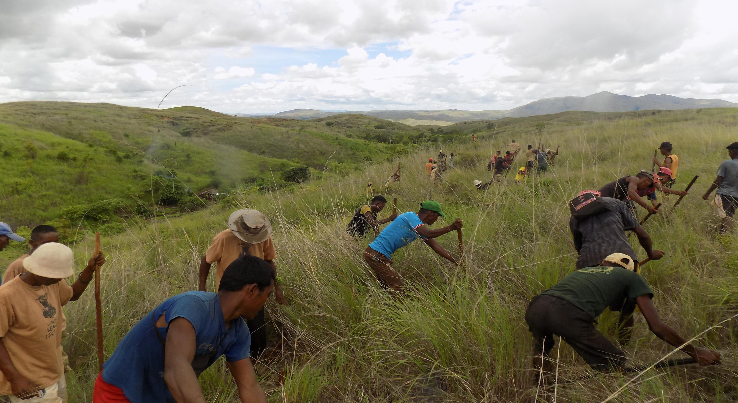 Treeapp planting trees in Madagascar Treeapp-planting-trees-in-madagascar