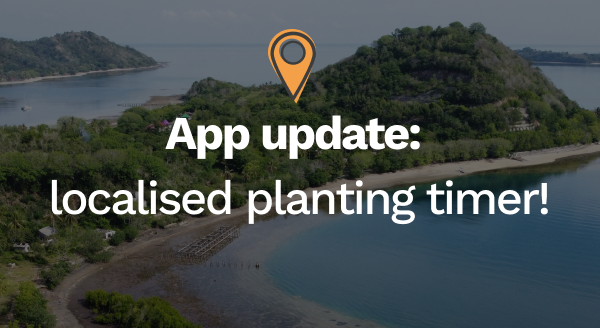 Treeapp Now Adjusts To Your Timezone Automatically