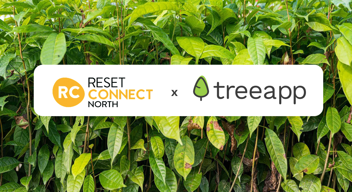 Accelerating Reforestation Momentum Through Reset Connect North